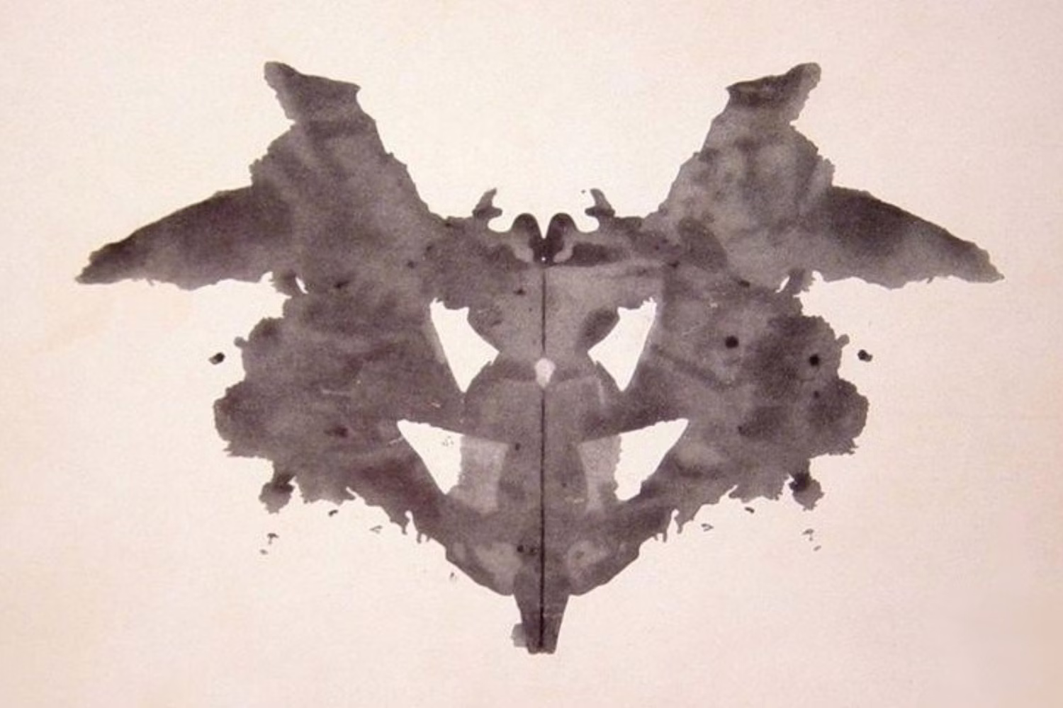 A Rorschach test image
